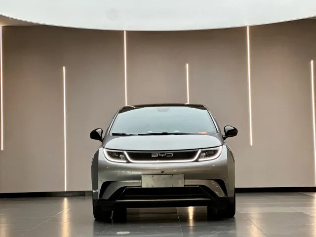 BYD Dolphin — Фото автомобиля 2