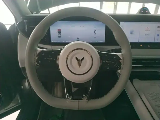 Voyah Auto VOYAH FREE 2025 318 318km RWD Touring Edition — Фото автомобиля 10