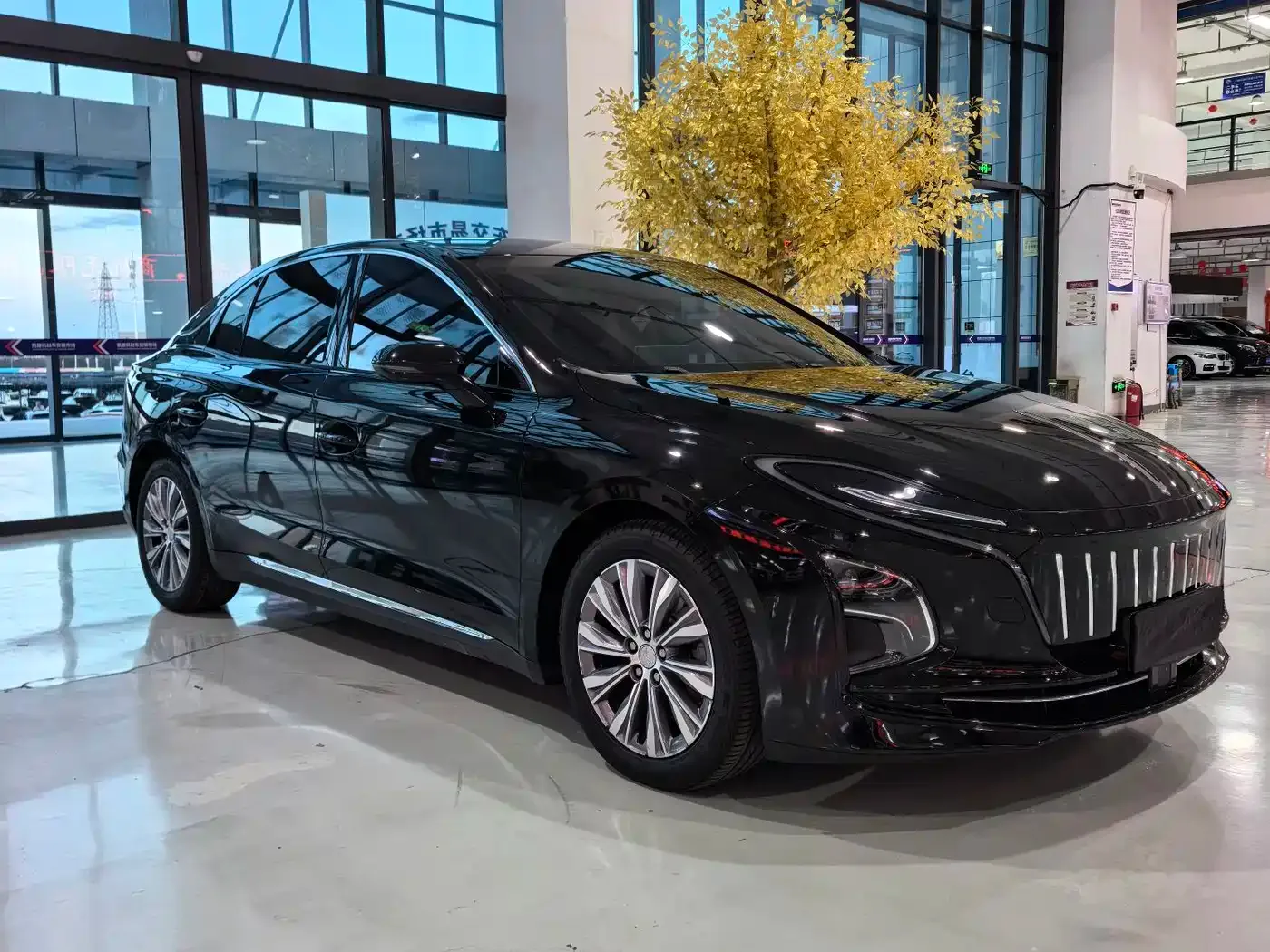 Hongqi Hongqi E-QM5 2022 431km Charging Enjoyment Edition — Фото автомобиля 3
