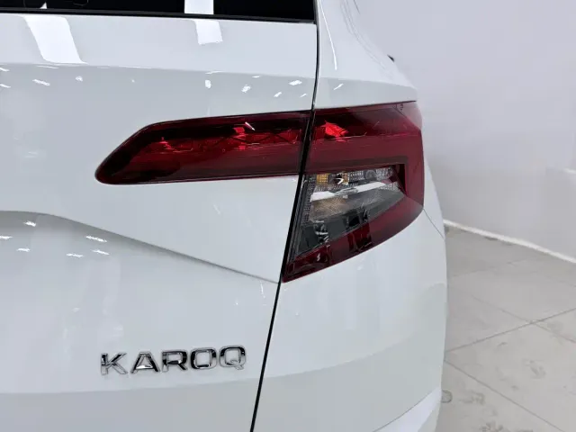 Skoda Karoq — Фото автомобиля 9