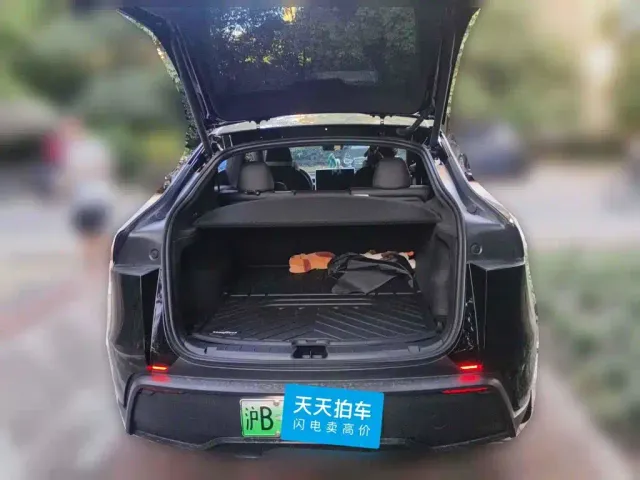 Tesla Model Y — Фото автомобиля 5