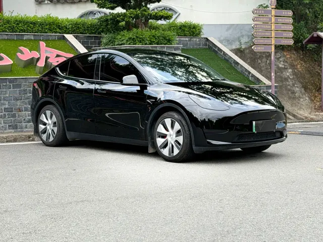 Tesla Model Y — Фото автомобиля 3