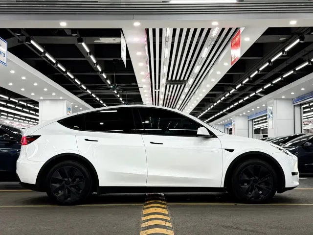 Tesla Model Y — Фото автомобиля 7