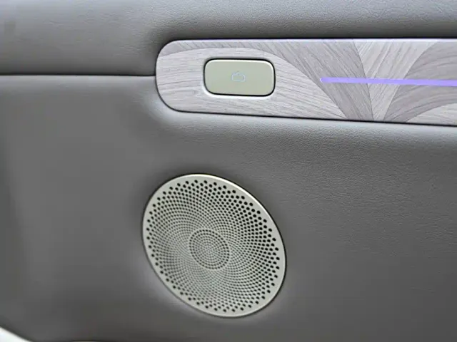 IM Motors LS6 — Фото автомобиля 28