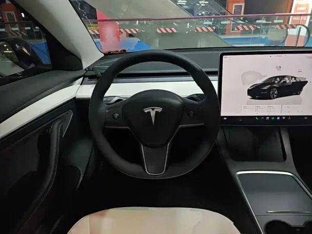 Tesla Model 3 — Фото автомобиля 10