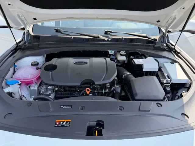 Geely Xingrui — Фото автомобиля 24
