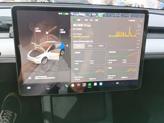 Tesla Model Y — Фото автомобиля 12
