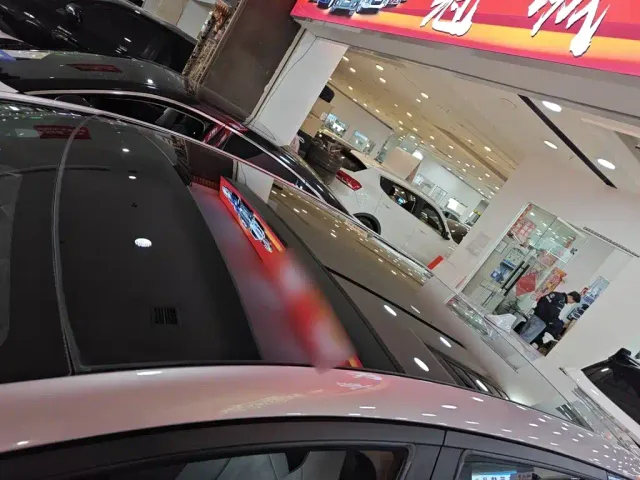 BYD Dolphin — Фото автомобиля 14