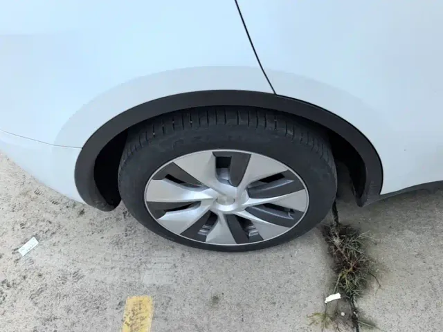 Tesla Model Y — Фото автомобиля 20