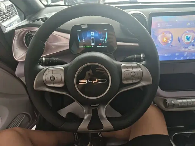 BYD Dolphin — Фото автомобиля 10