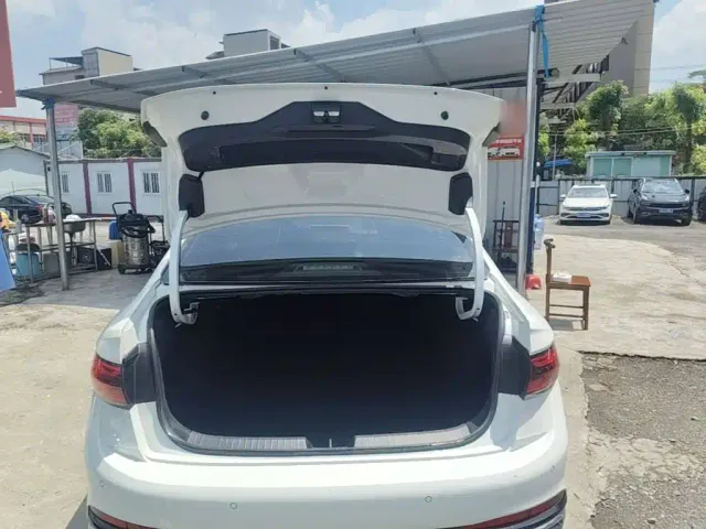 Volkswagen Sagitar — Фото автомобиля 18