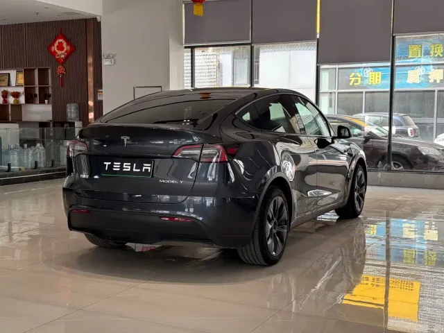 Tesla Model Y — Фото автомобиля 9