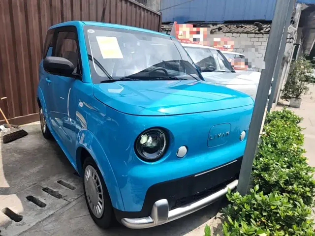 Livan Ruilan Blue Elf — Фото автомобиля 3