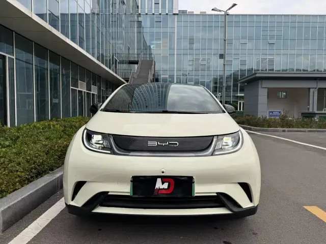 BYD Dolphin — Фото автомобиля 2