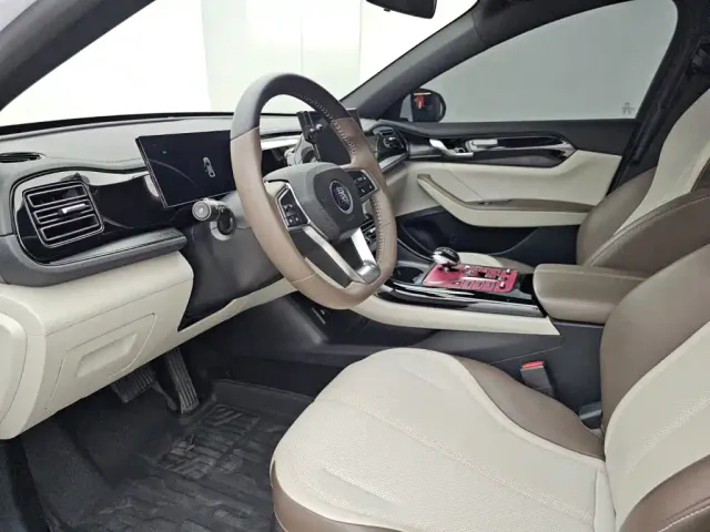 BYD Qin PLUS — Фото автомобиля 8