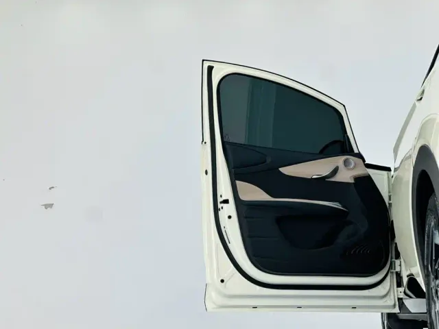 BYD Dolphin — Фото автомобиля 12