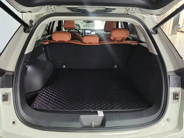 Haval Xiaolong MAX — Фото автомобиля 18