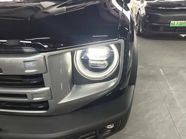 Haval Big Dog — Фото автомобиля 23