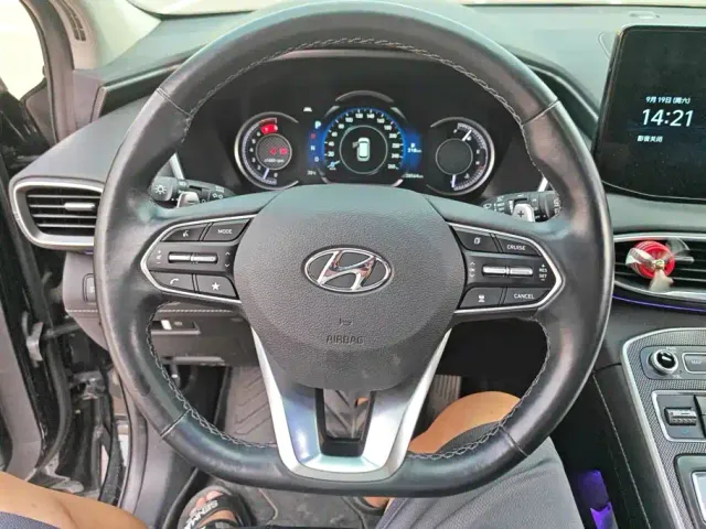 Hyundai Santa Fe — Фото автомобиля 15