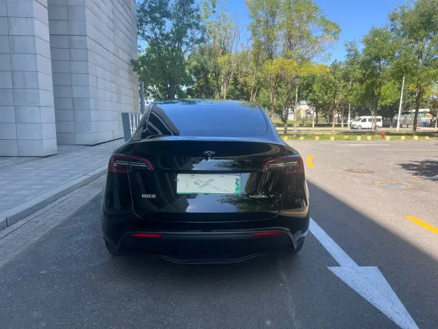 Tesla Model Y — Фото автомобиля 6