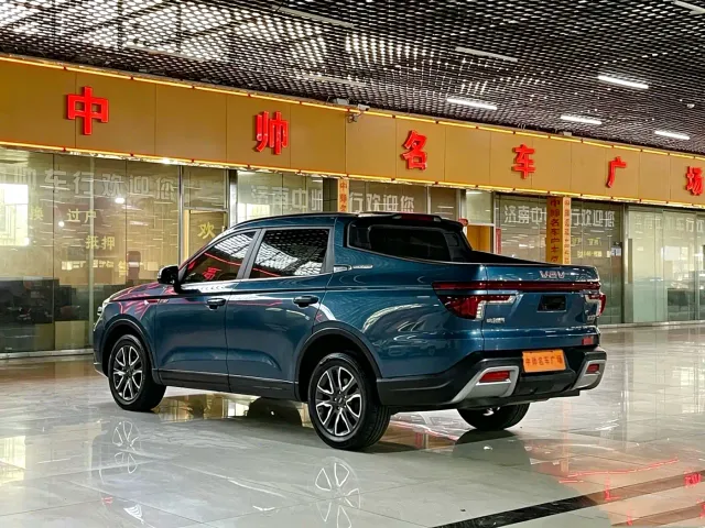VGV VX7 — Фото автомобиля 6