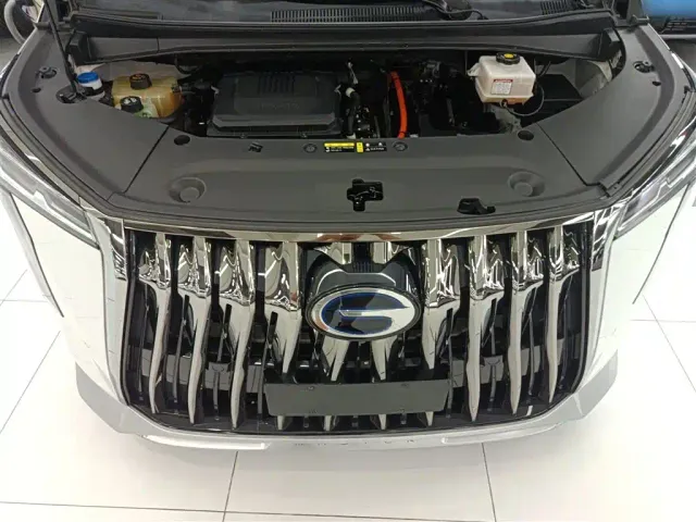 GAC Trumpchi M8 — Фото автомобиля 19