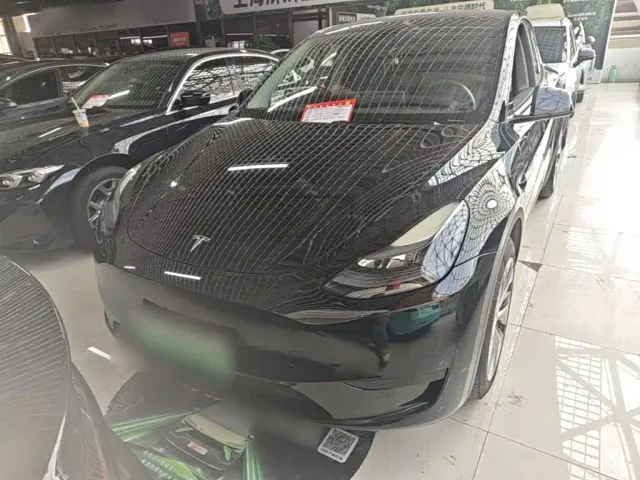 Tesla Model Y — Фото автомобиля 2