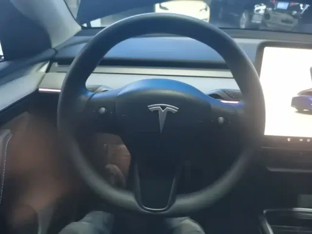 Tesla Model Y — Фото автомобиля 10