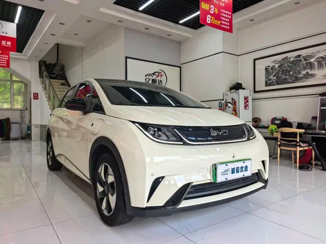 BYD Dolphin — Фото автомобиля 2