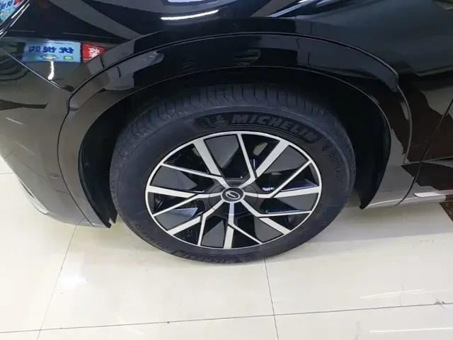 GAC Trumpchi Xiangwang S9 — Фото автомобиля 22