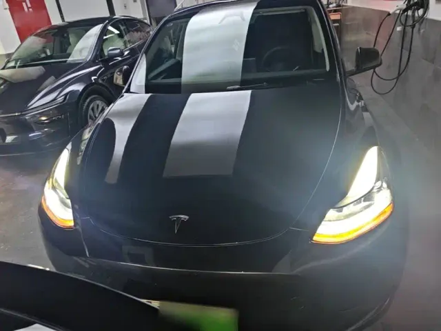 Tesla Model Y — Фото автомобиля 2