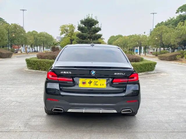 BMW 5 Series — Фото автомобиля 8