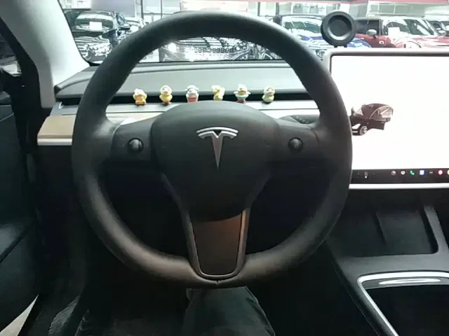 Tesla Model 3 — Фото автомобиля 10