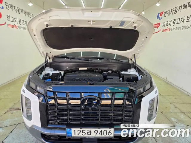 Hyundai Palisade The New — Фото автомобиля 20