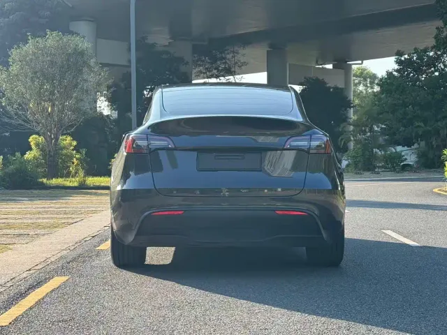 Tesla Model Y — Фото автомобиля 5