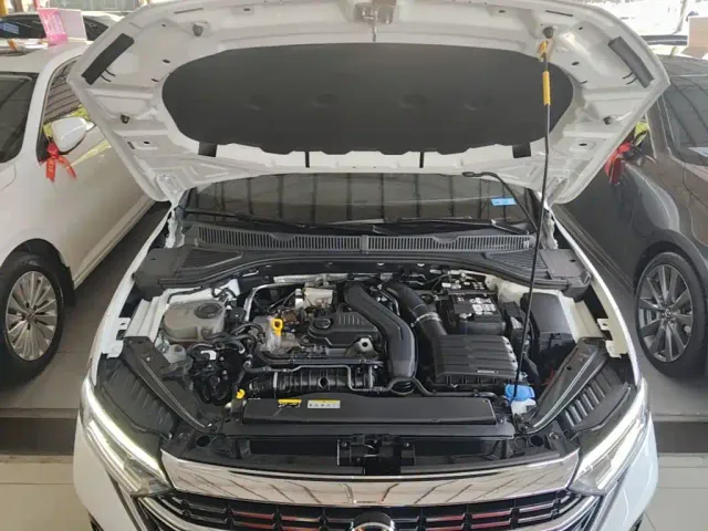 Volkswagen Sagitar — Фото автомобиля 15