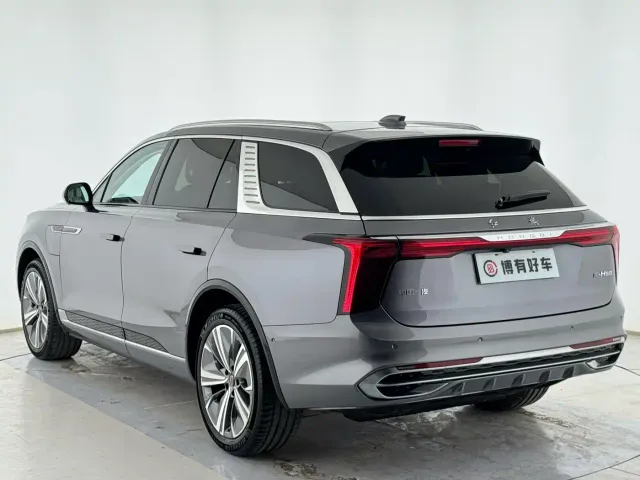 Hongqi Hongqi E-HS9 2021 460km Flagship Comfort 6-seater — Фото автомобиля 11
