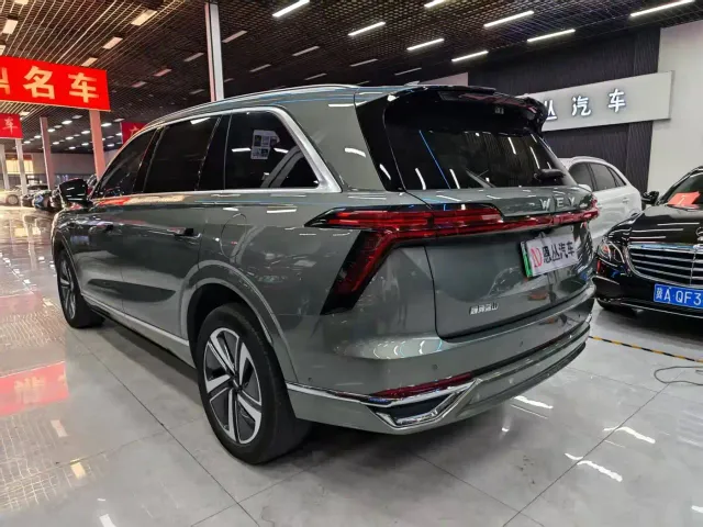 Wey Lanshan — Фото автомобиля 7