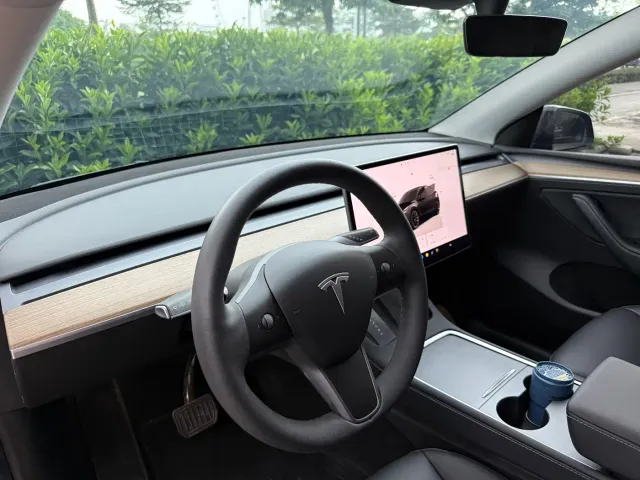 Tesla Model Y — Фото автомобиля 11