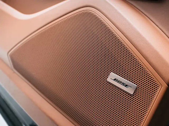 Porsche Cayenne — Фото автомобиля 23