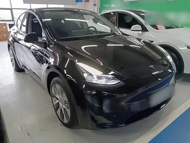 Tesla Model Y — Фото автомобиля 3