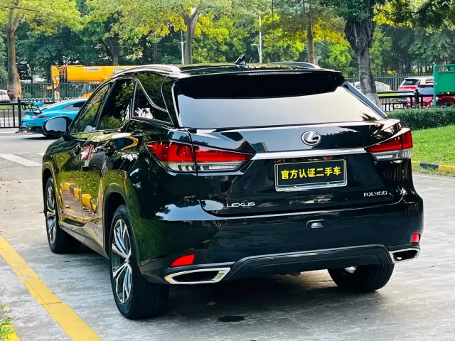 Lexus RX — Фото автомобиля 6
