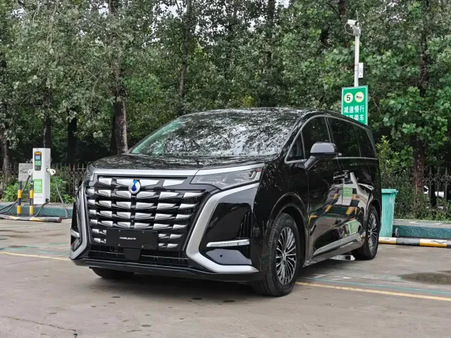 Фотография автомобиля — Denza D9