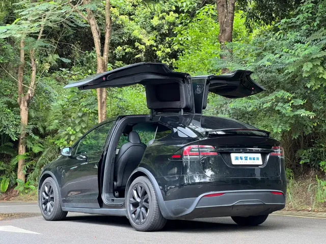 Tesla Model X — Фото автомобиля 3