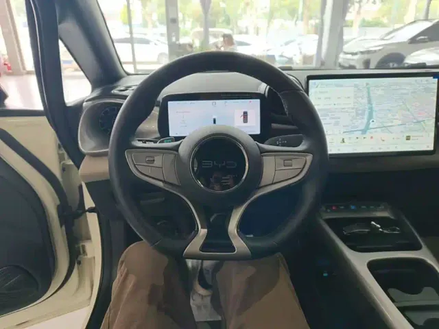 BYD Dolphin — Фото автомобиля 10