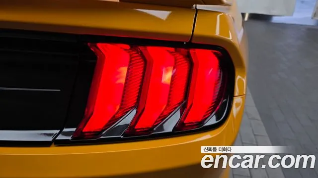 Ford Mustang — Фото автомобиля 23