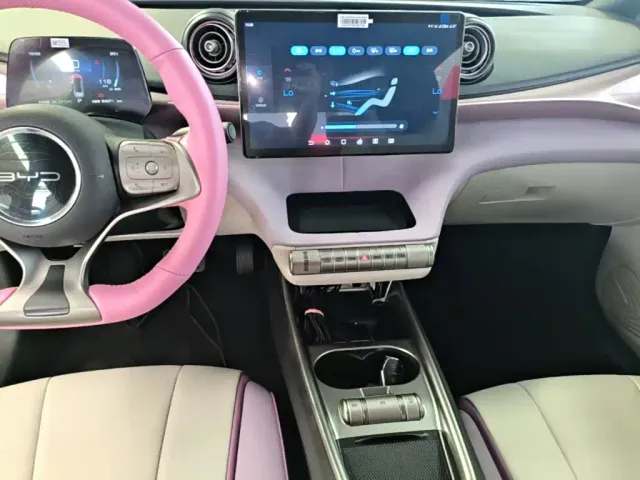 BYD Dolphin — Фото автомобиля 12
