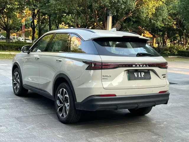 Haval Xiaolong MAX — Фото автомобиля 6