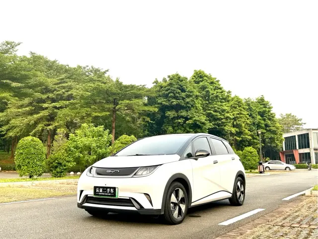 BYD Dolphin — Фото автомобиля 2