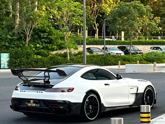 Mercedes-Benz AMG GT 2019 AMG GT — Фото автомобиля 4